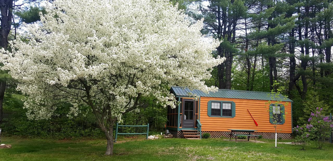 Silver Lake Park Campground & Cabins Hotel Belmont Kültér fotó